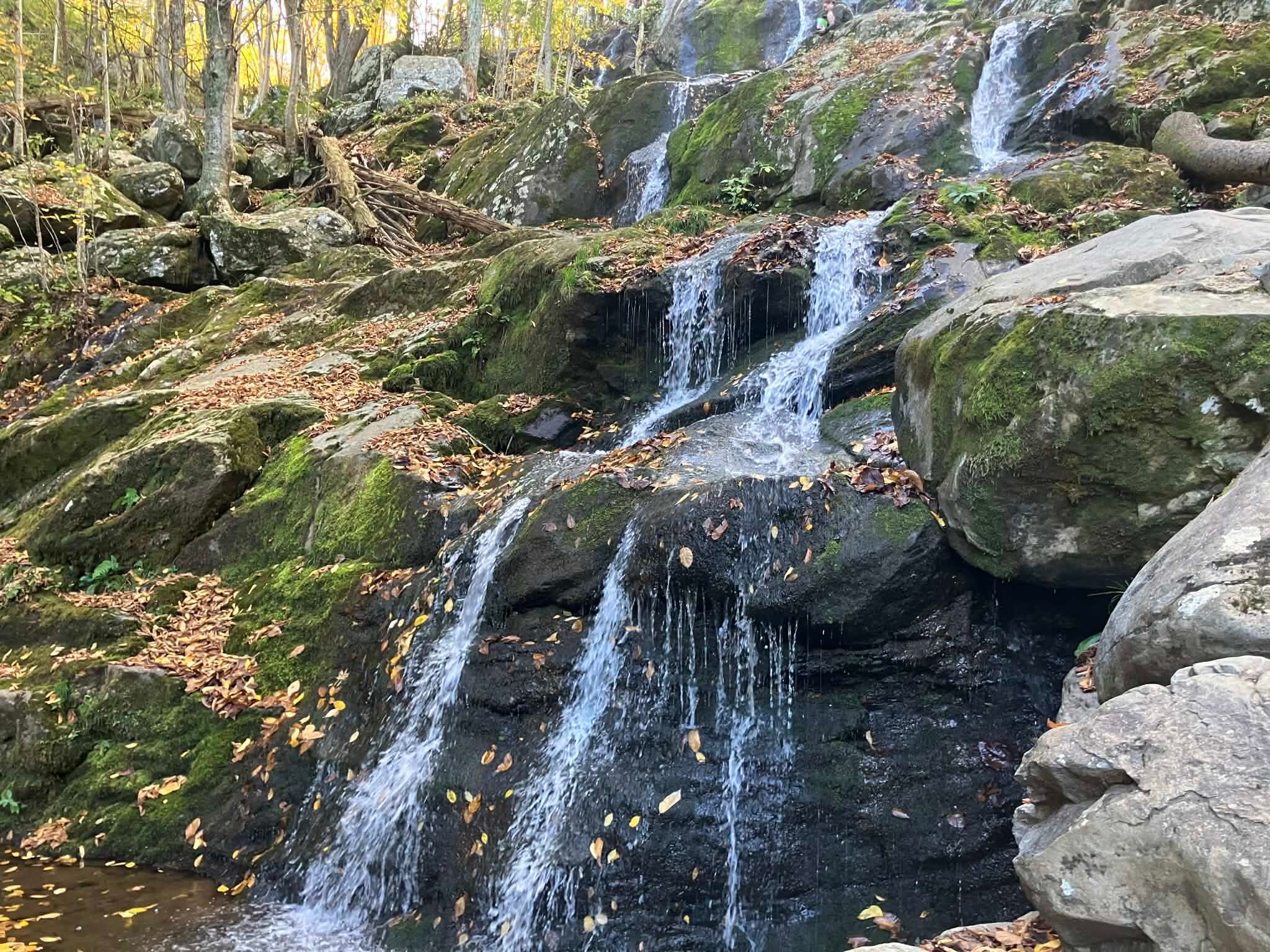 Suburban Studios Verona - Staunton North-官方