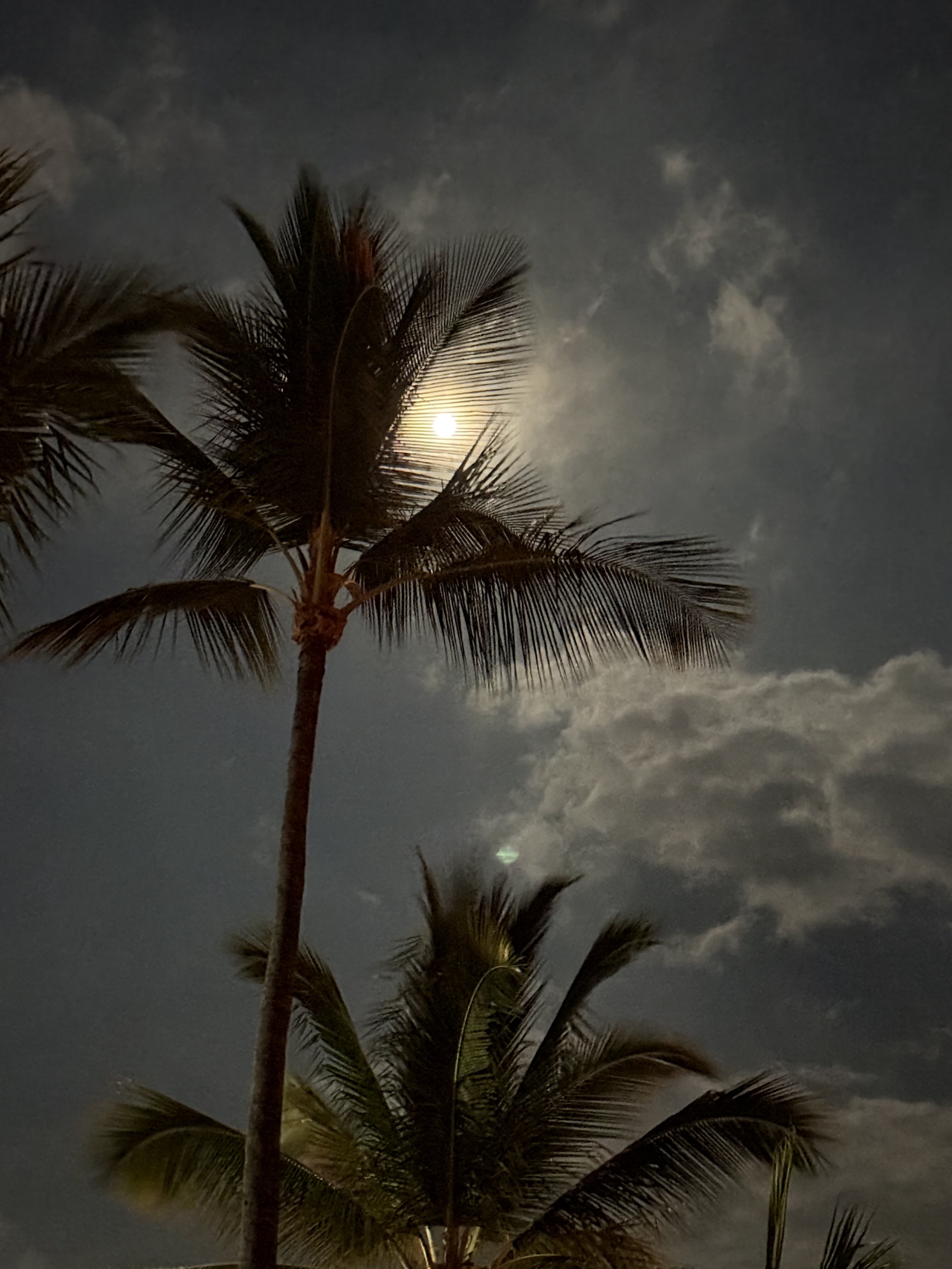 喜来登金奥浩湾水疗度假村-酒店景观