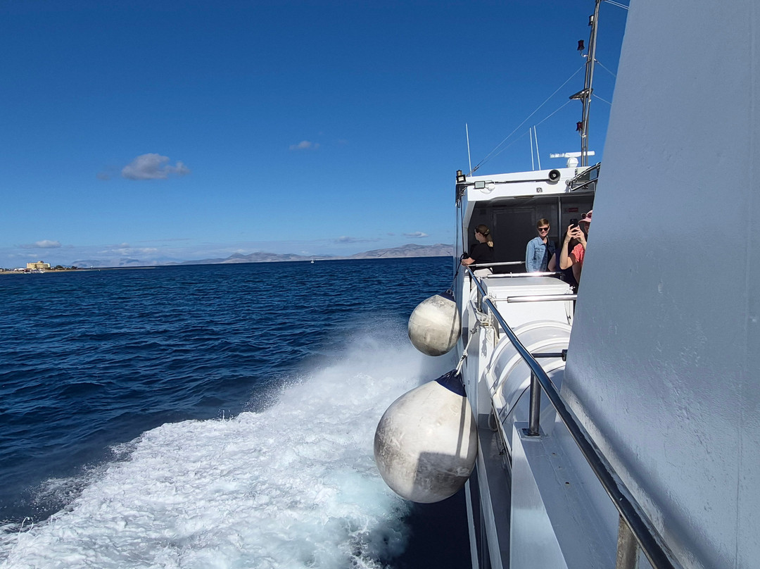 Half Price Tours-罗德城必去景点