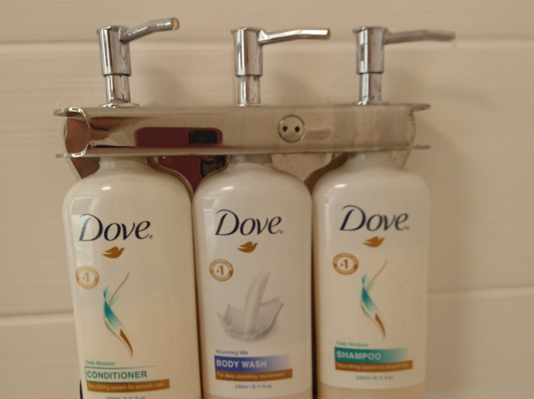 罗谢尔智选假日酒店主图