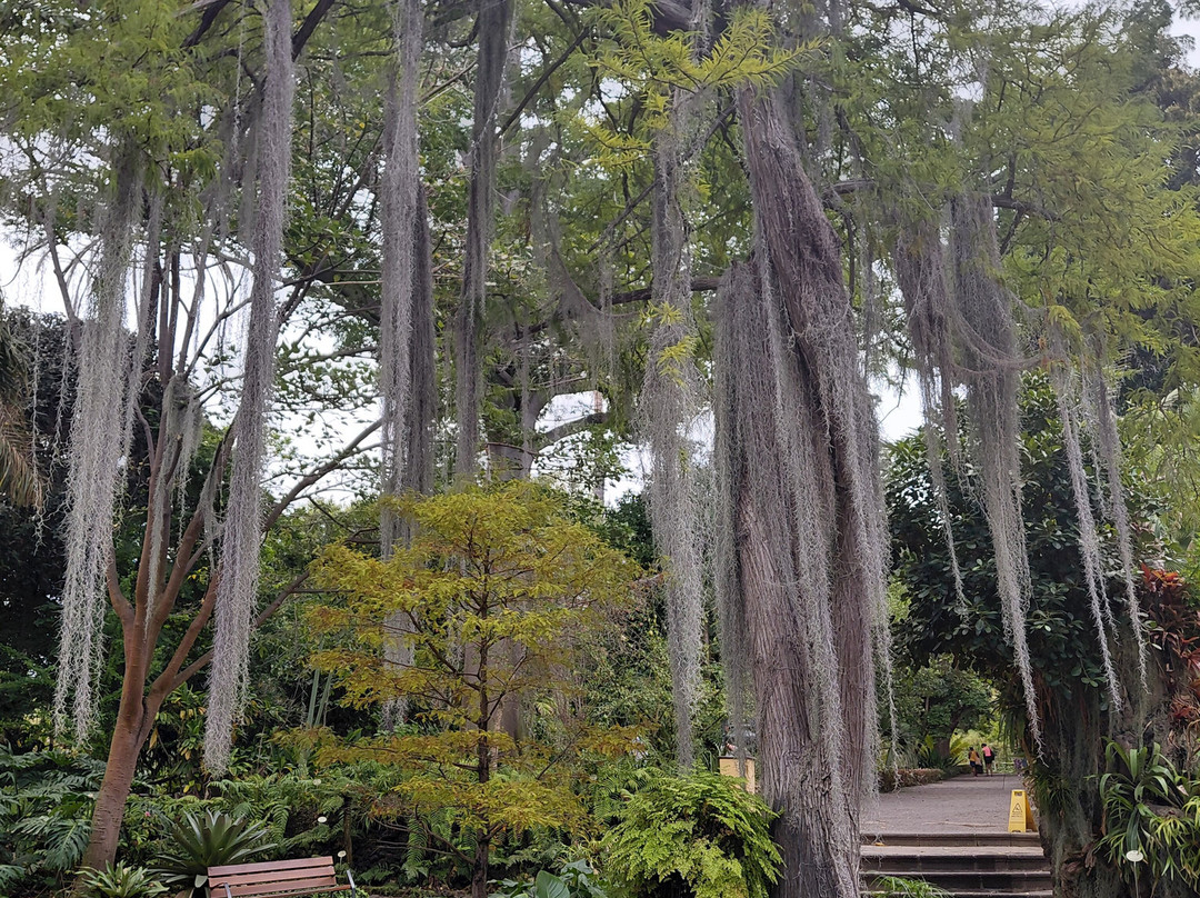 Botanischer Garten-德拉克鲁兹索尔港必去景点