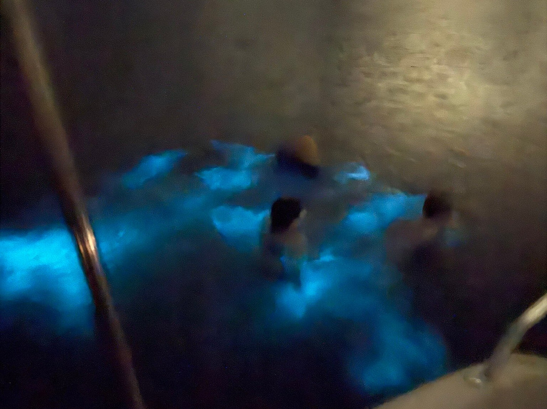 Parguera Eco Tours and Bio Bay-La Parguera必去景点