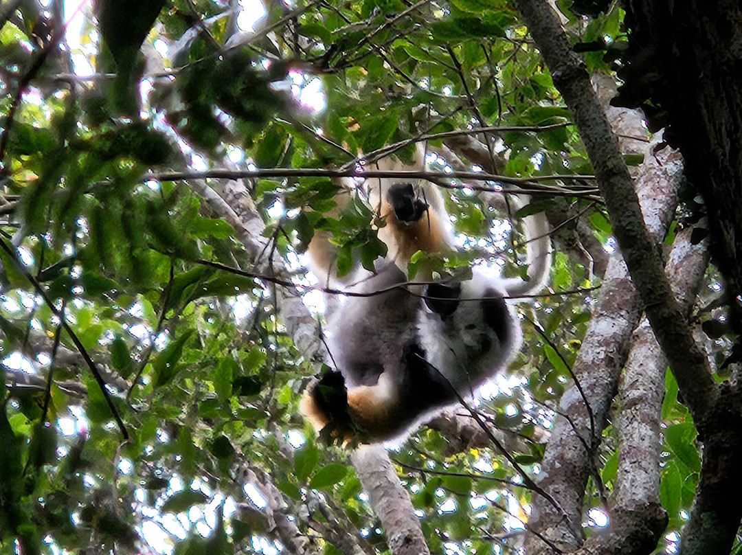 Tsiky Tour Madagascar-安塔那那利佛必去景点