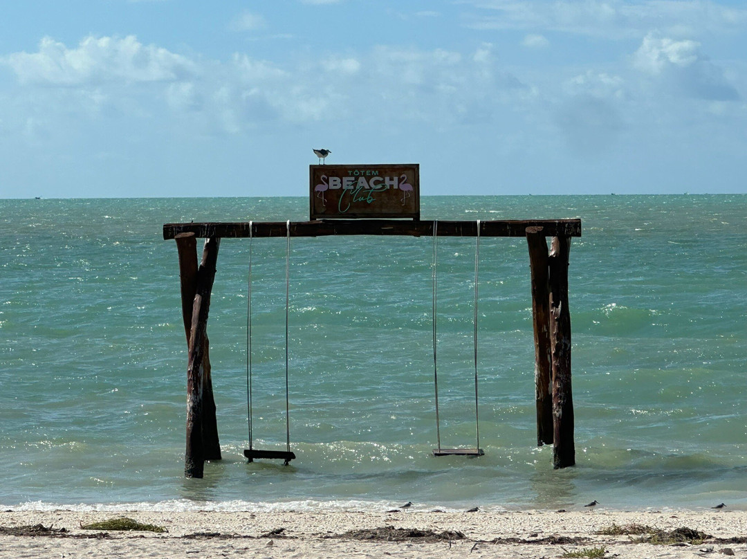 Totem Beach Club-塞莱斯顿必去景点