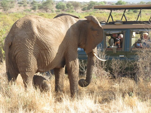 Augustine's Adventure Africa-阿鲁沙必去景点