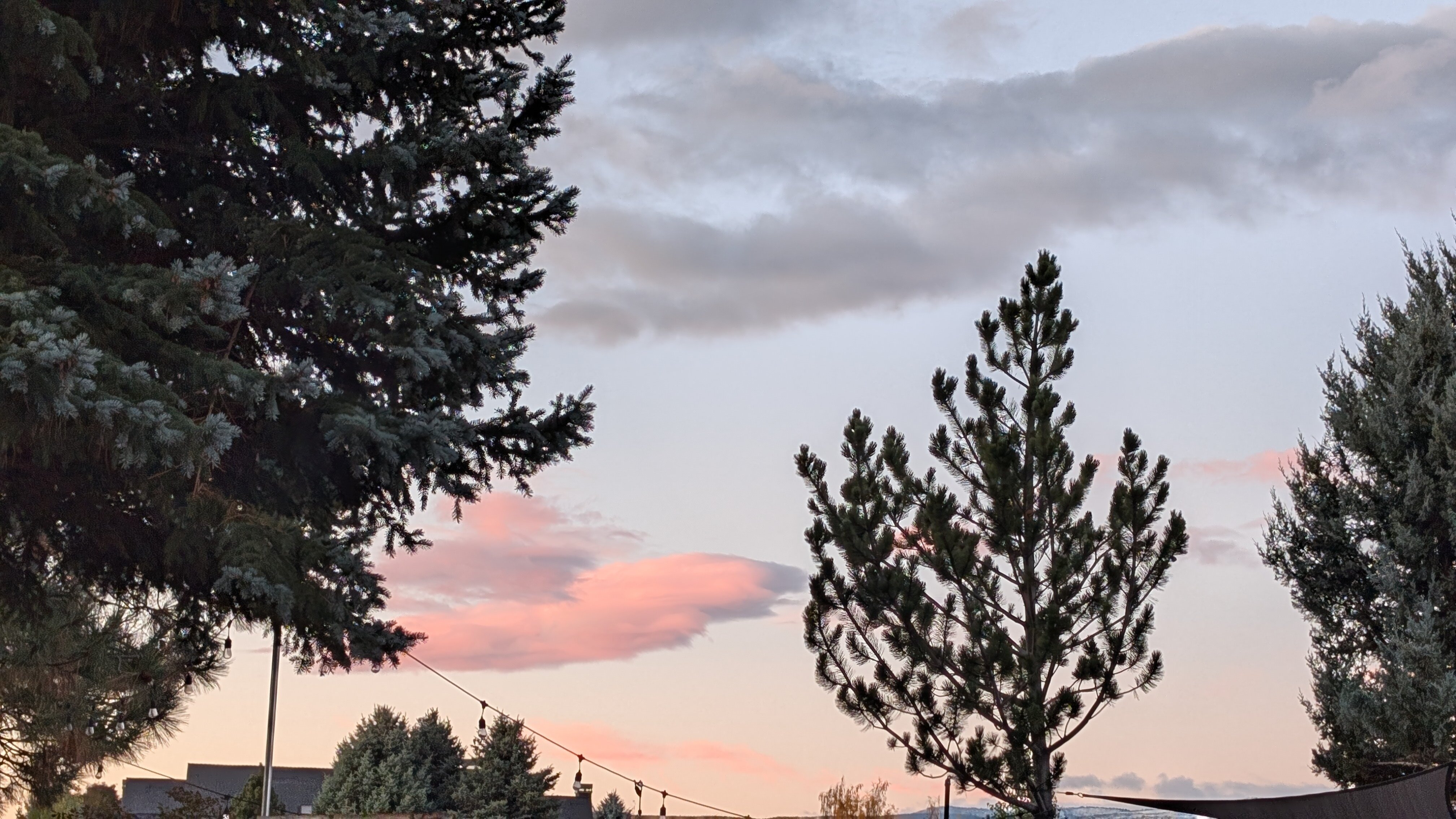 Left Coast Lodge-官方