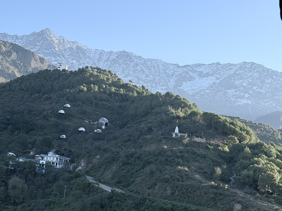 juSTa Birding Dharamshala Resort主图