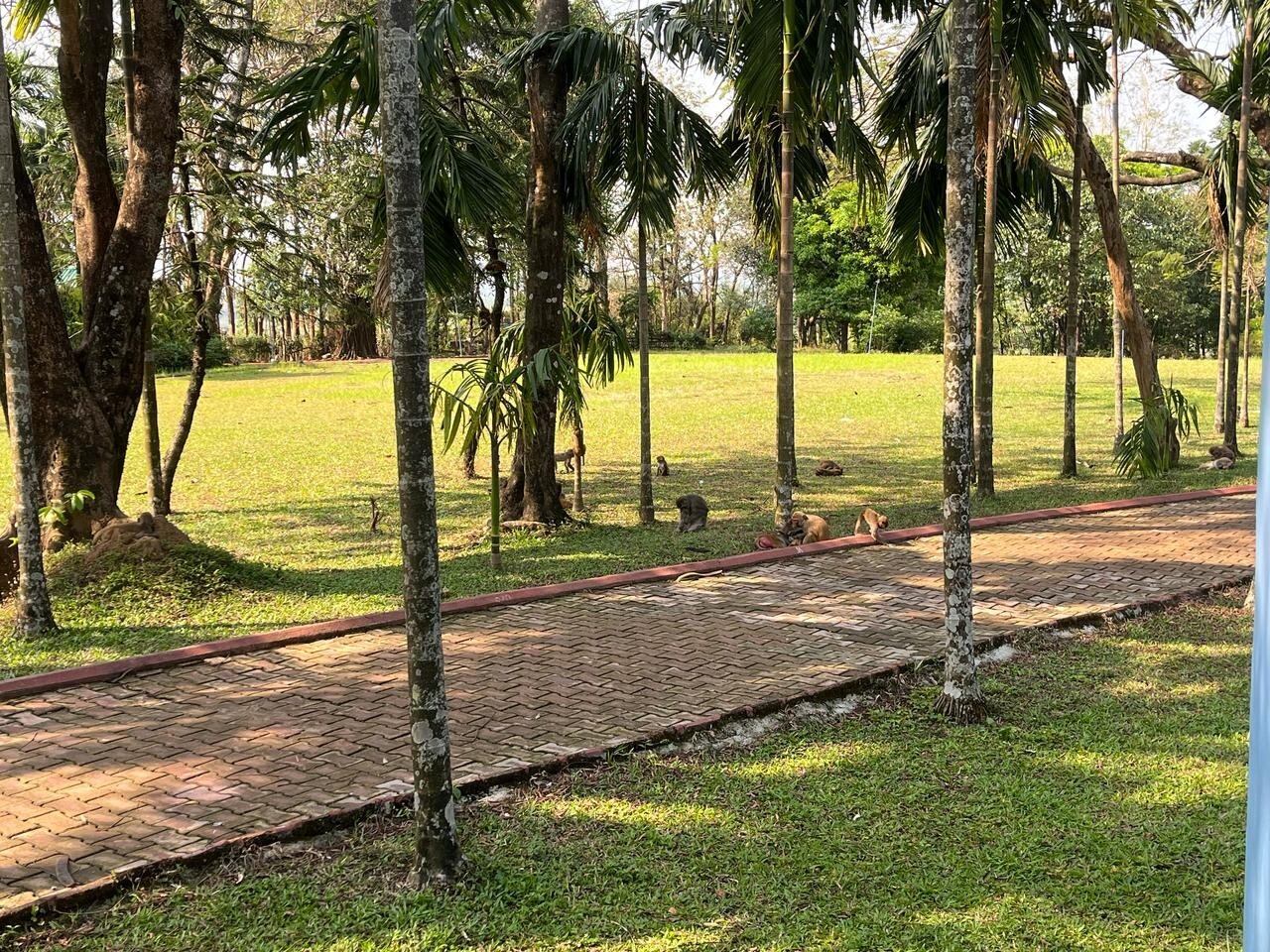 Sinclairs Retreat Dooars, Chalsa-官方