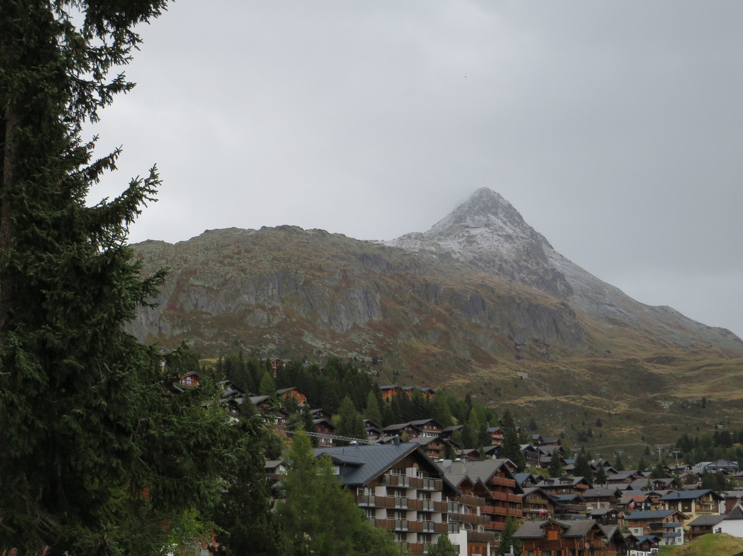 Hotel Waldhaus主图