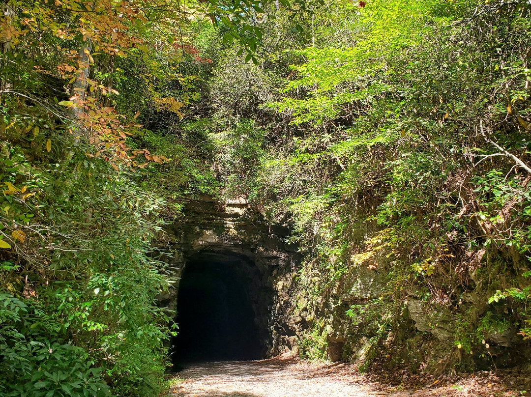 Stumphouse Mountain Tunnel-Walhalla必去景点