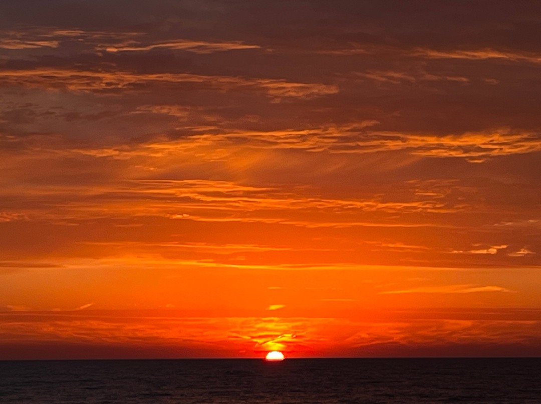 Illinois Beach Hotel主图