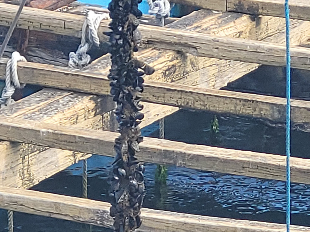 Cruceros do Ulla Turimares-格罗韦必去景点