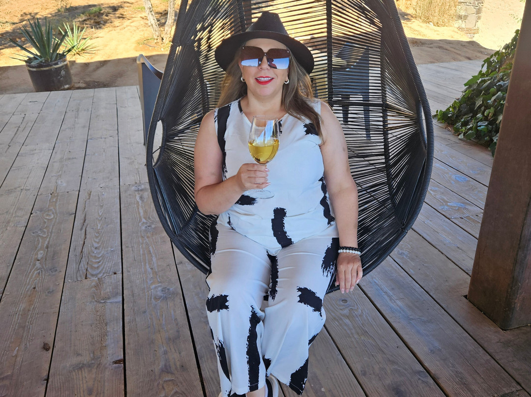 Bodegas Domecq-恩塞纳达必去景点