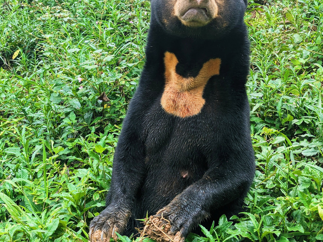 Luang Prabang Wildlife Sanctuary-琅勃拉邦必去景点