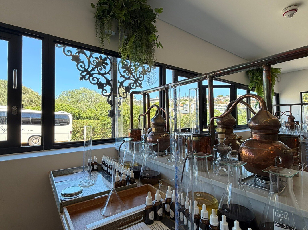 Cape Saint Blaize Distillery-莫塞尔贝必去景点