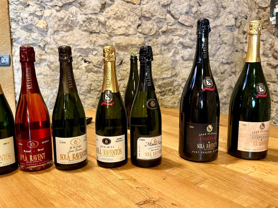 Cava Sola Raventos-桑特萨杜尔尼达诺亚必去景点