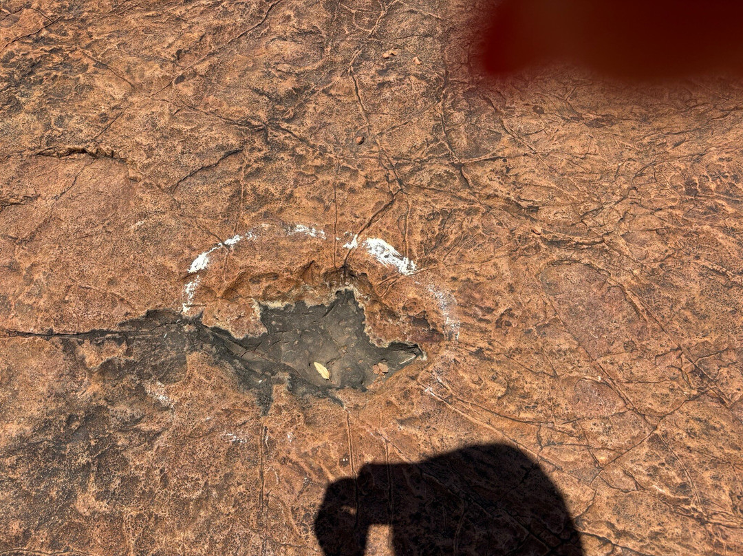 Dinosaur's Tracks主图