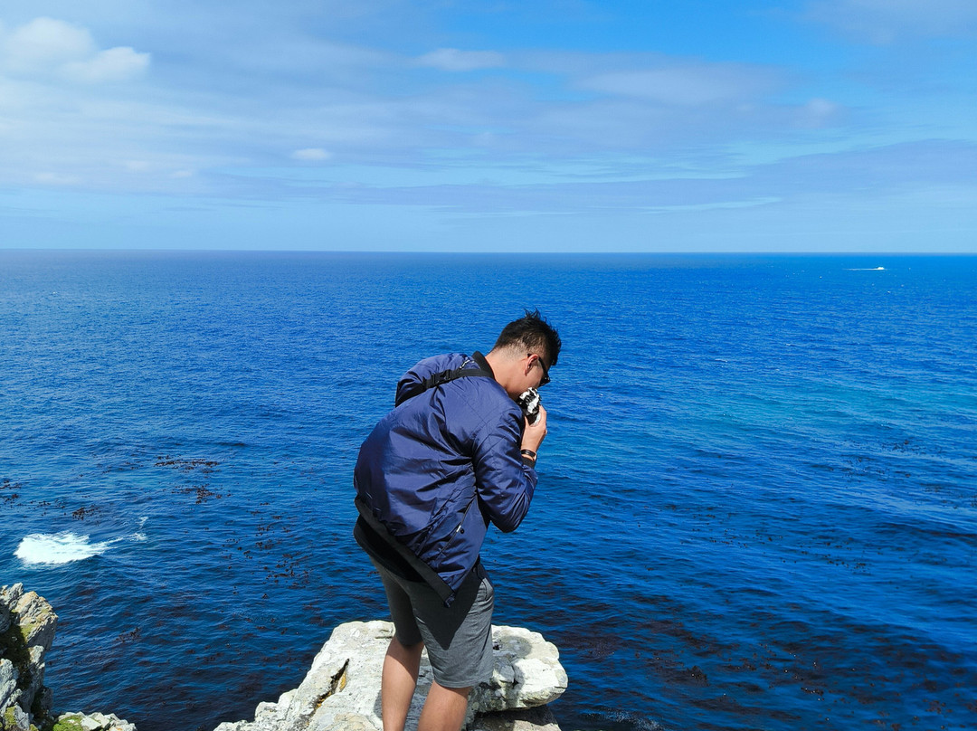 Cape Point-桌山国家公园必去景点