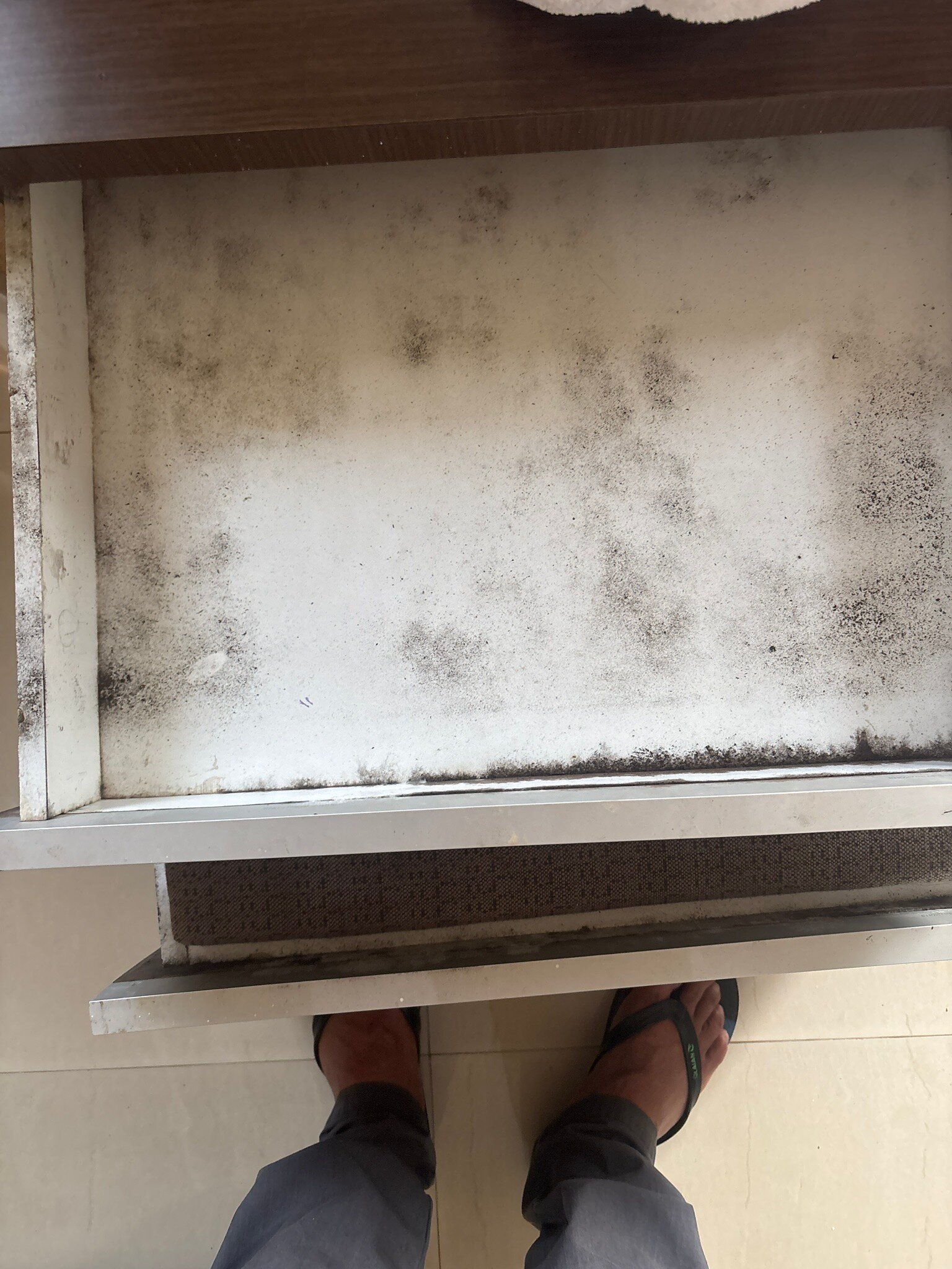 MTDC Malshej Ghat-官方