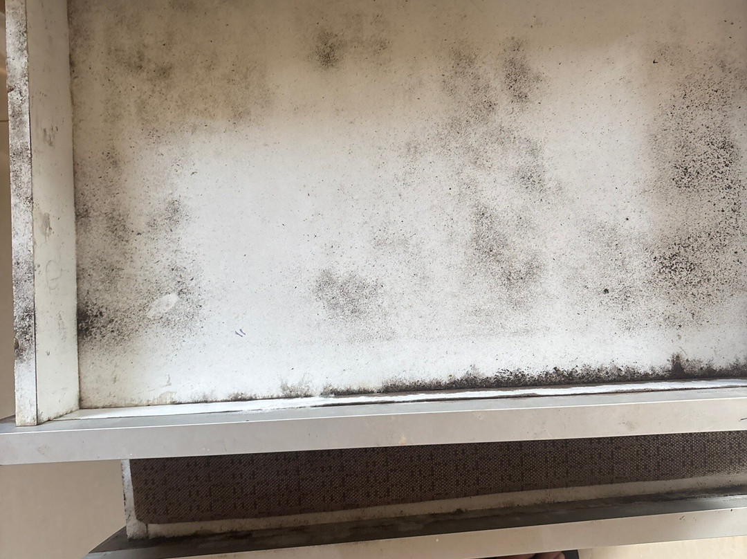 MTDC Malshej Ghat主图