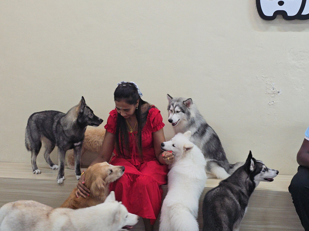 Hahahusky-马六甲必去景点