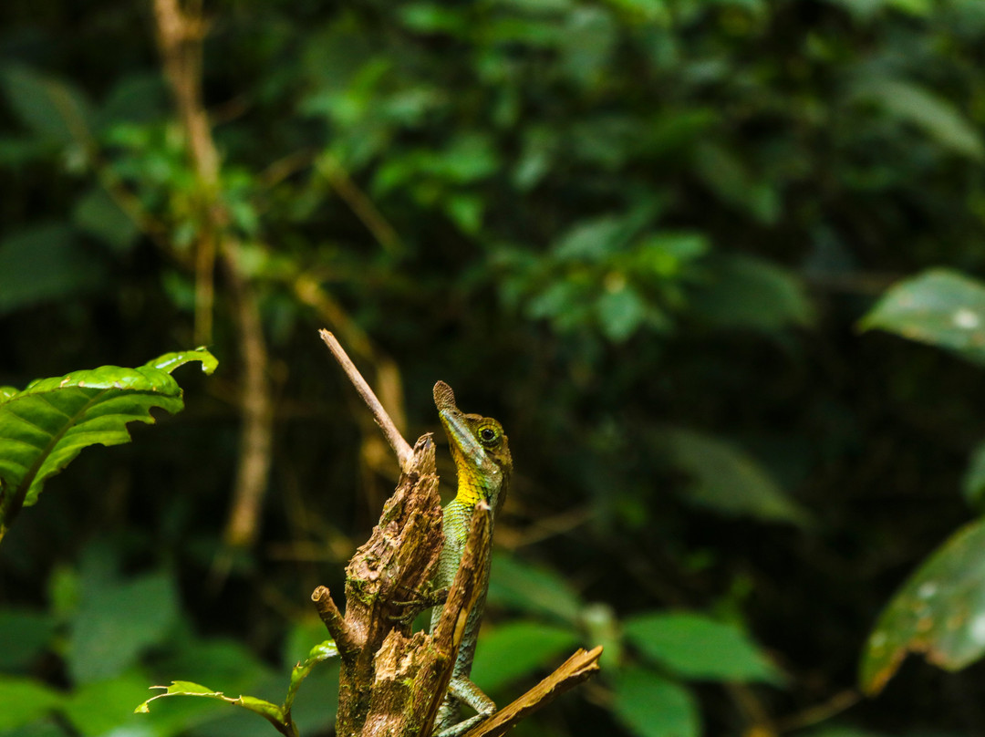 Select Sri Lanka Holidays-卡卢特勒必去景点