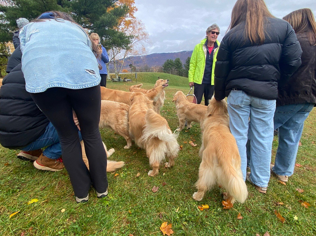 Golden Dog Farm-Jeffersonville必去景点