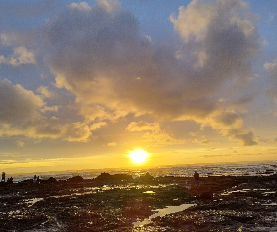 Playa Langosta-Playa Langosta必去景点