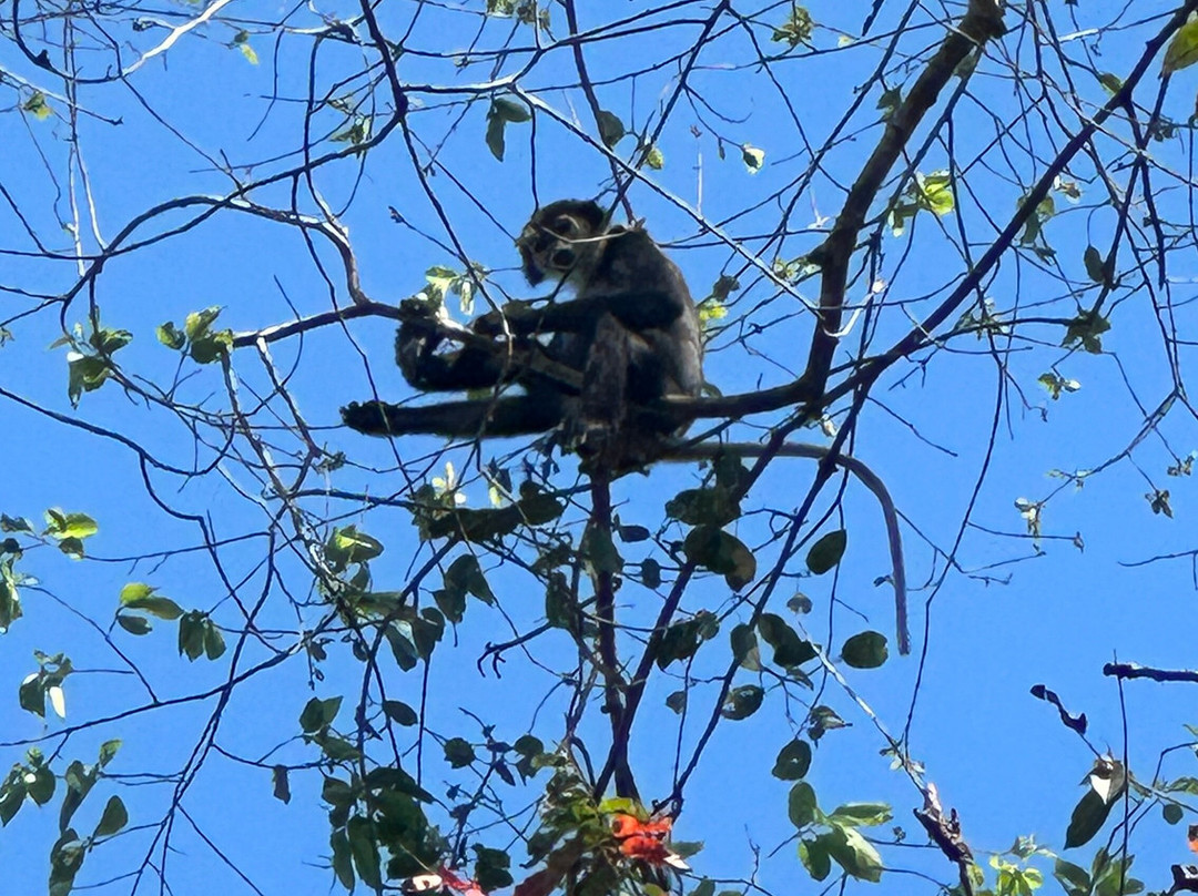 Vietnature Tour (cattien Wild Tour)-Tan Phu District必去景点