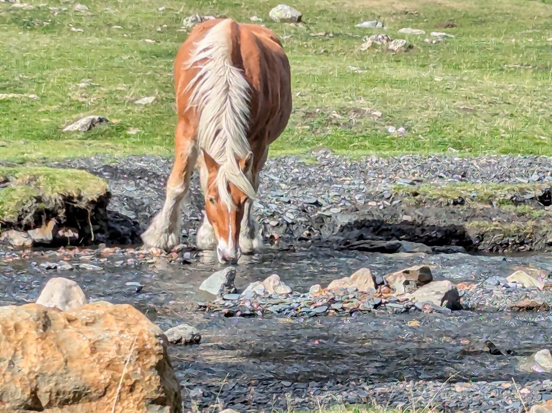 Vallée du Rioumajou-Saint-Lary-Soulan必去景点