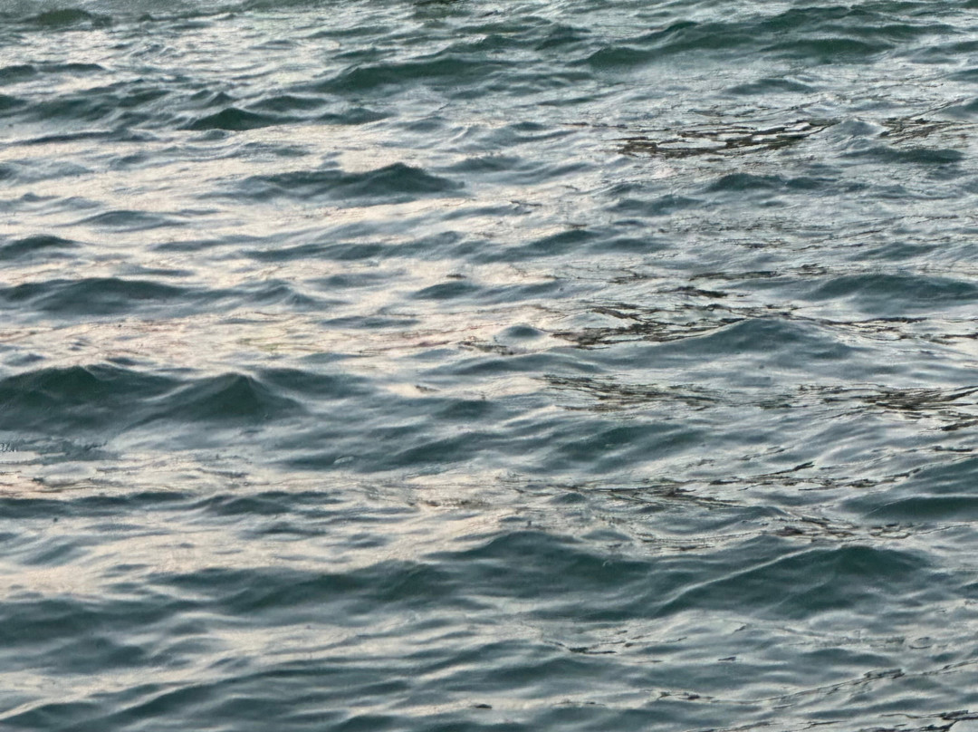 Sea N Things, LLC-Indian Shores必去景点