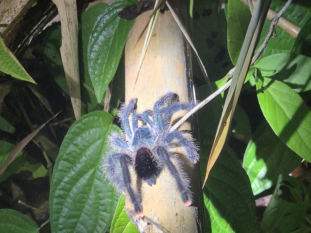Unlock Nature-帕拉马里博必去景点