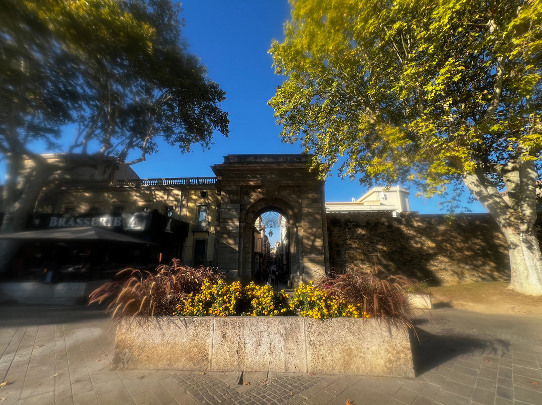 Portail des Jacobins-卡尔卡松必去景点