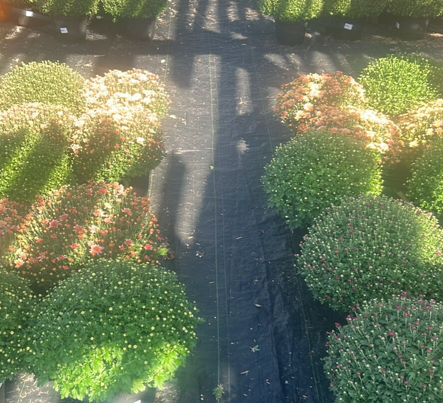 Farmer To You - Taylor Farms-邓达斯必去景点