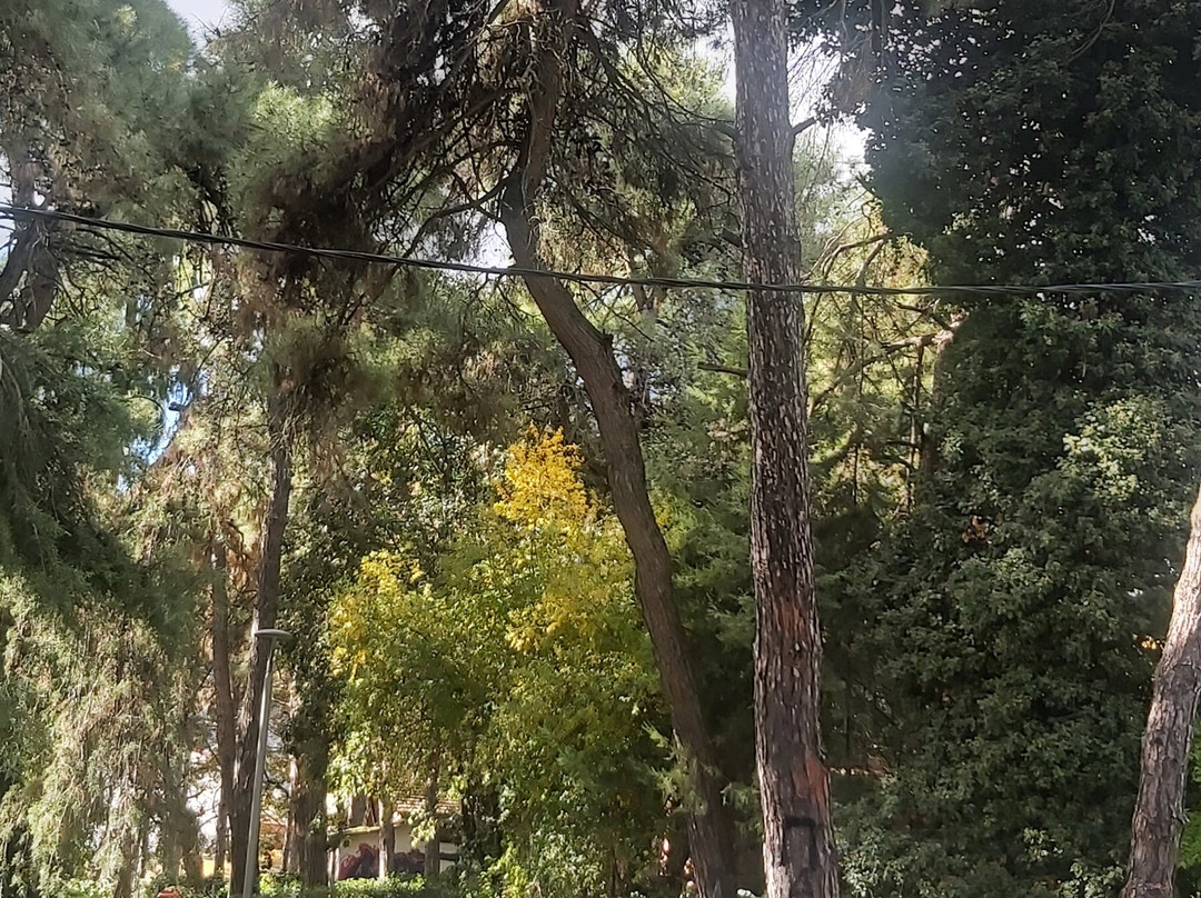 Agios Nikolaos Park-Naousa必去景点