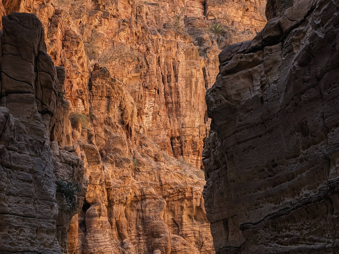 Jordan Trail Guide-佩特拉必去景点
