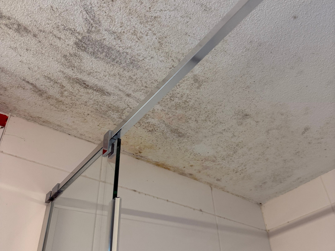 Ace Hotel Paris Marne La Vallee主图