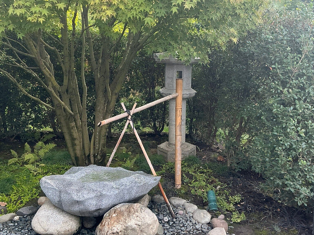 Japanese Garden