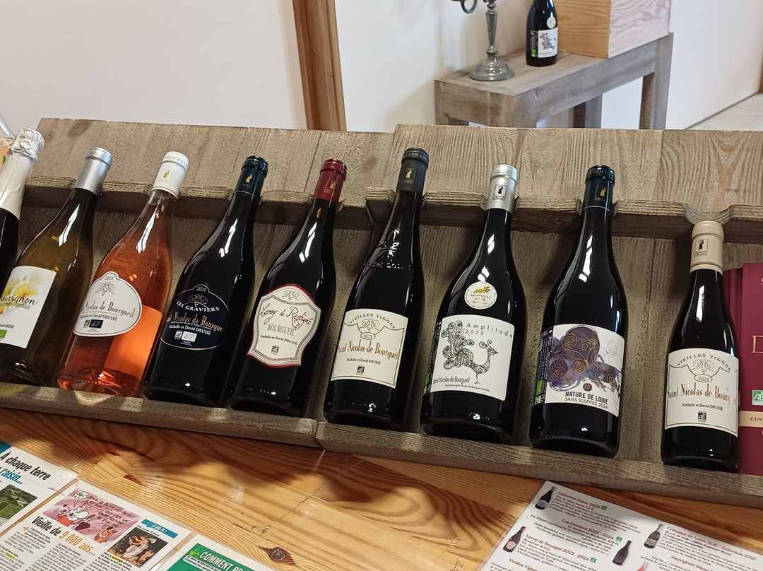 Cave Nathalie et David Drussé-Saint Nicolas de Bourgueil必去景点