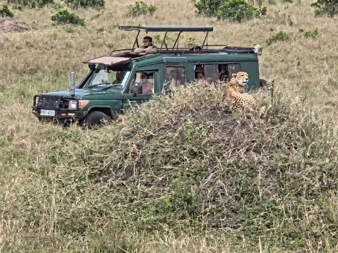 Super Africa Wildlife And Adventure Safaris-Kisii必去景点