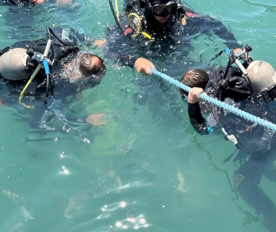 Narwhal-伊利亚贝拉必去景点