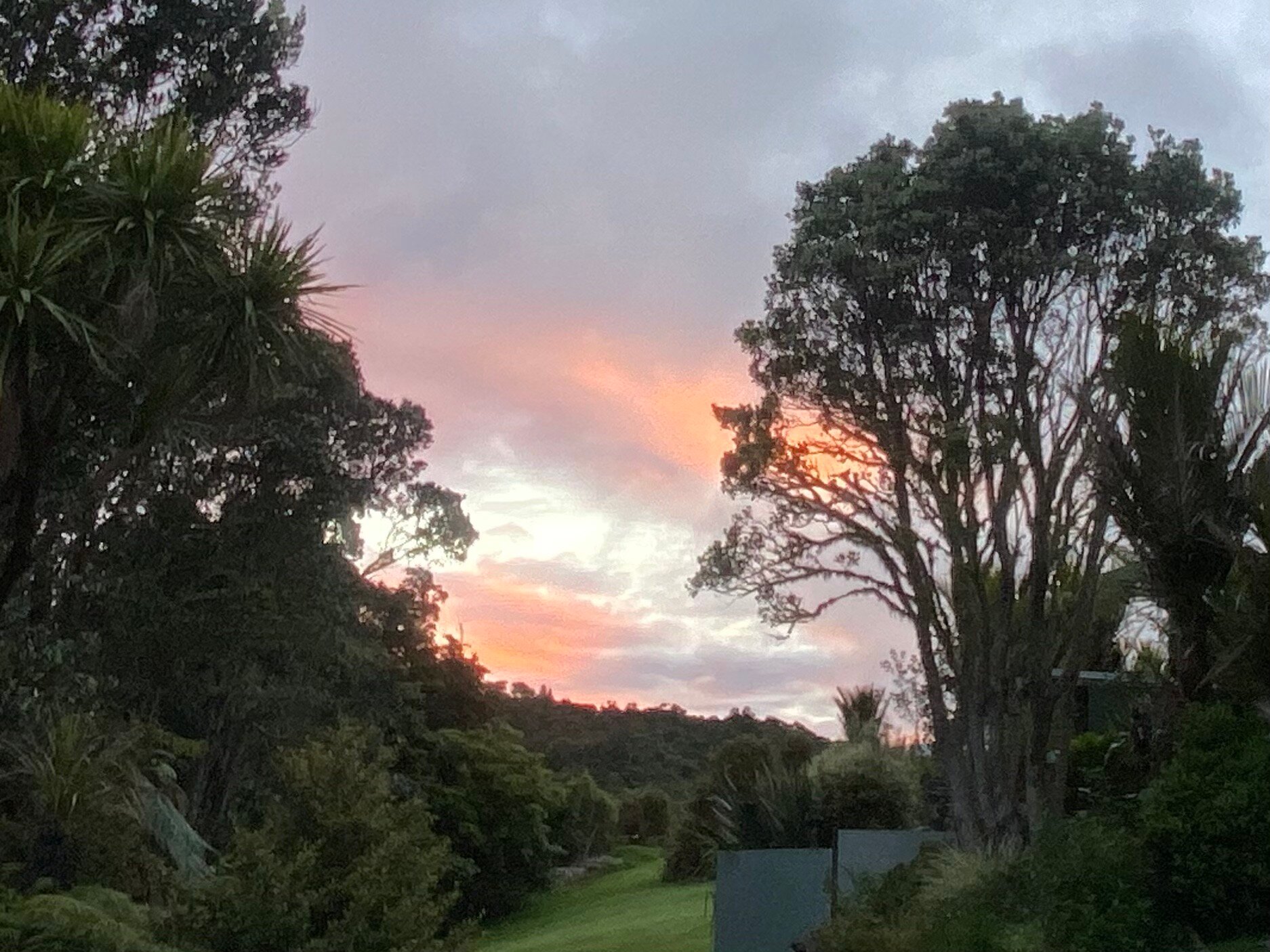 Waipoua Lodge-官方