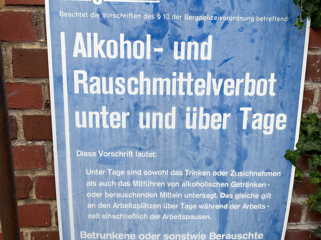 Erlebnisbergwerk Velsen-萨尔布吕肯必去景点