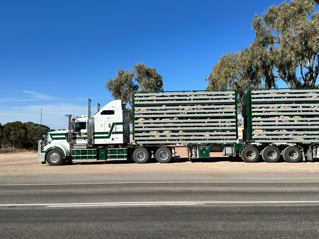 The Big Galah-Kimba必去景点