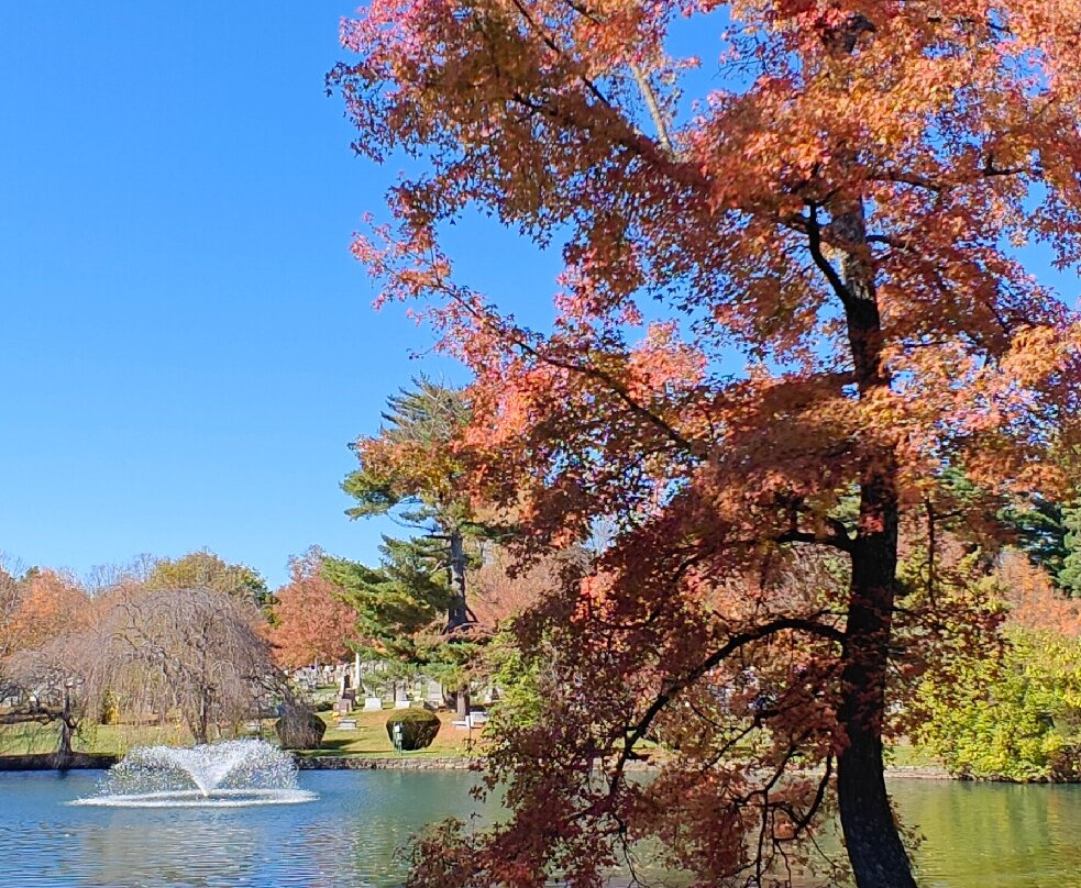 Lexington Cemetery-列克星敦必去景点