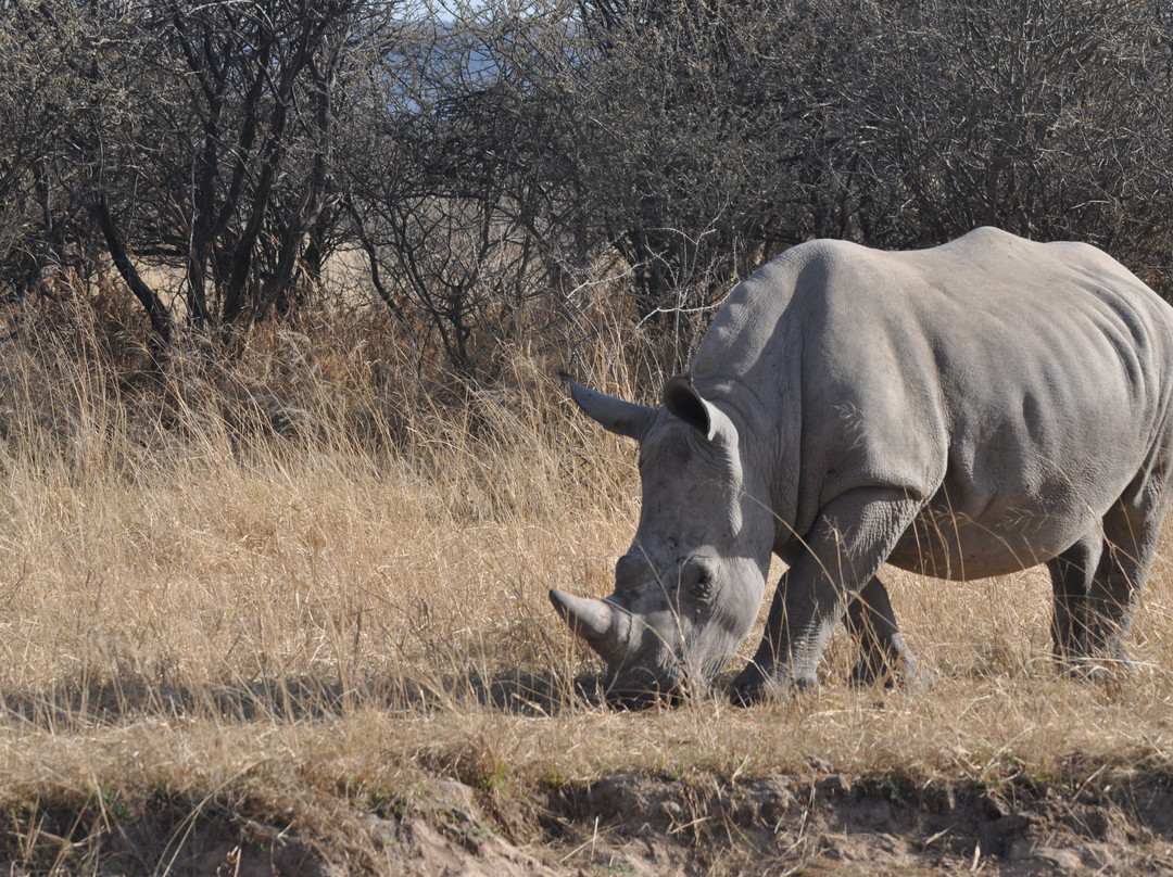 Waterberg National Park-奥奇瓦龙戈必去景点