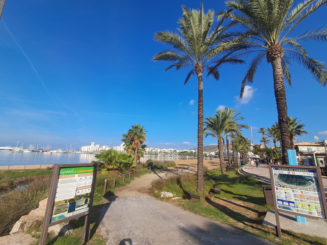 Platja de S'Arenal-圣安东尼德波特曼尼必去景点