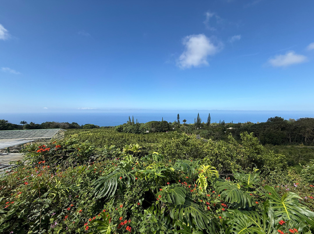 夏威夷仙境农场-哈陆亚洛亚必去景点