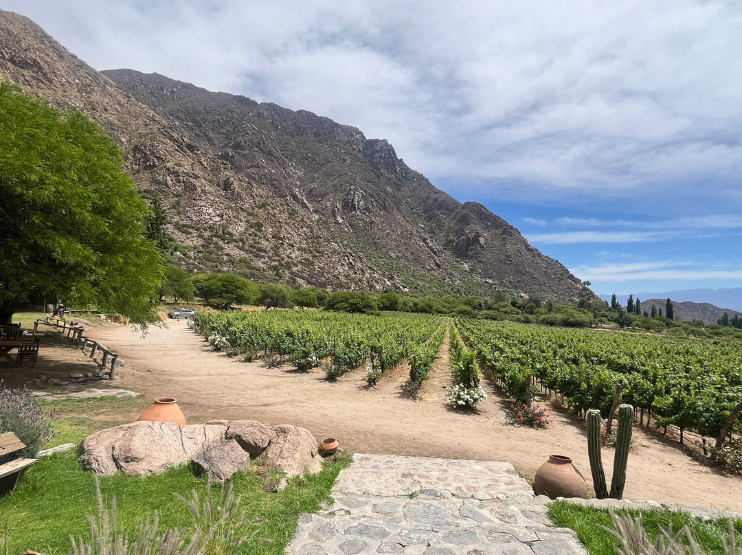 Finca Las Nubes-卡法亚特必去景点