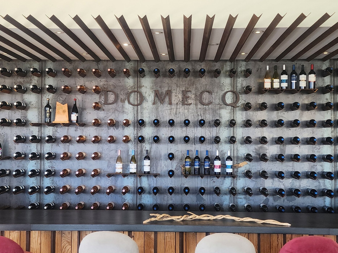 Bodegas Domecq-恩塞纳达必去景点